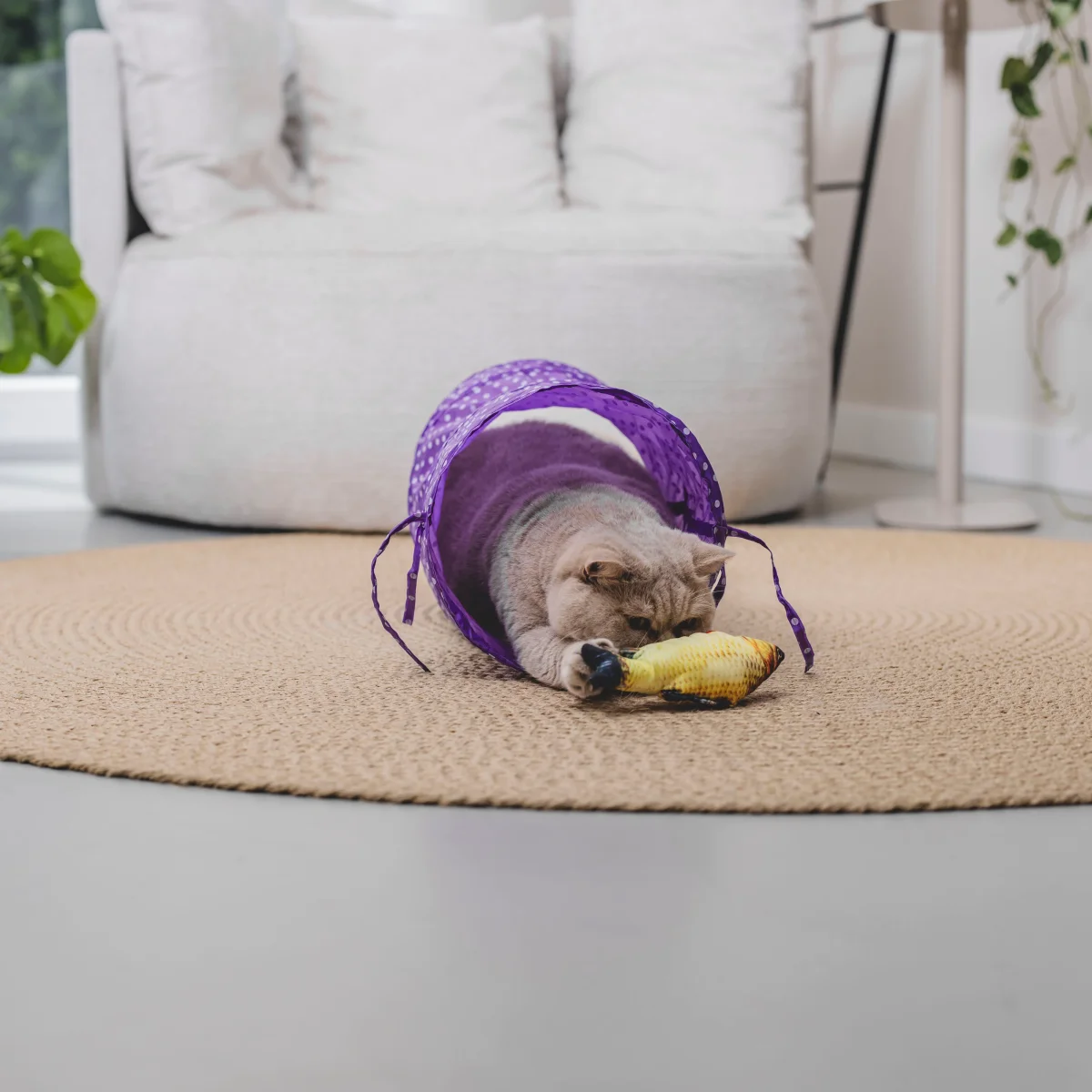 Kattenspeelgoed set - Afbeelding 5