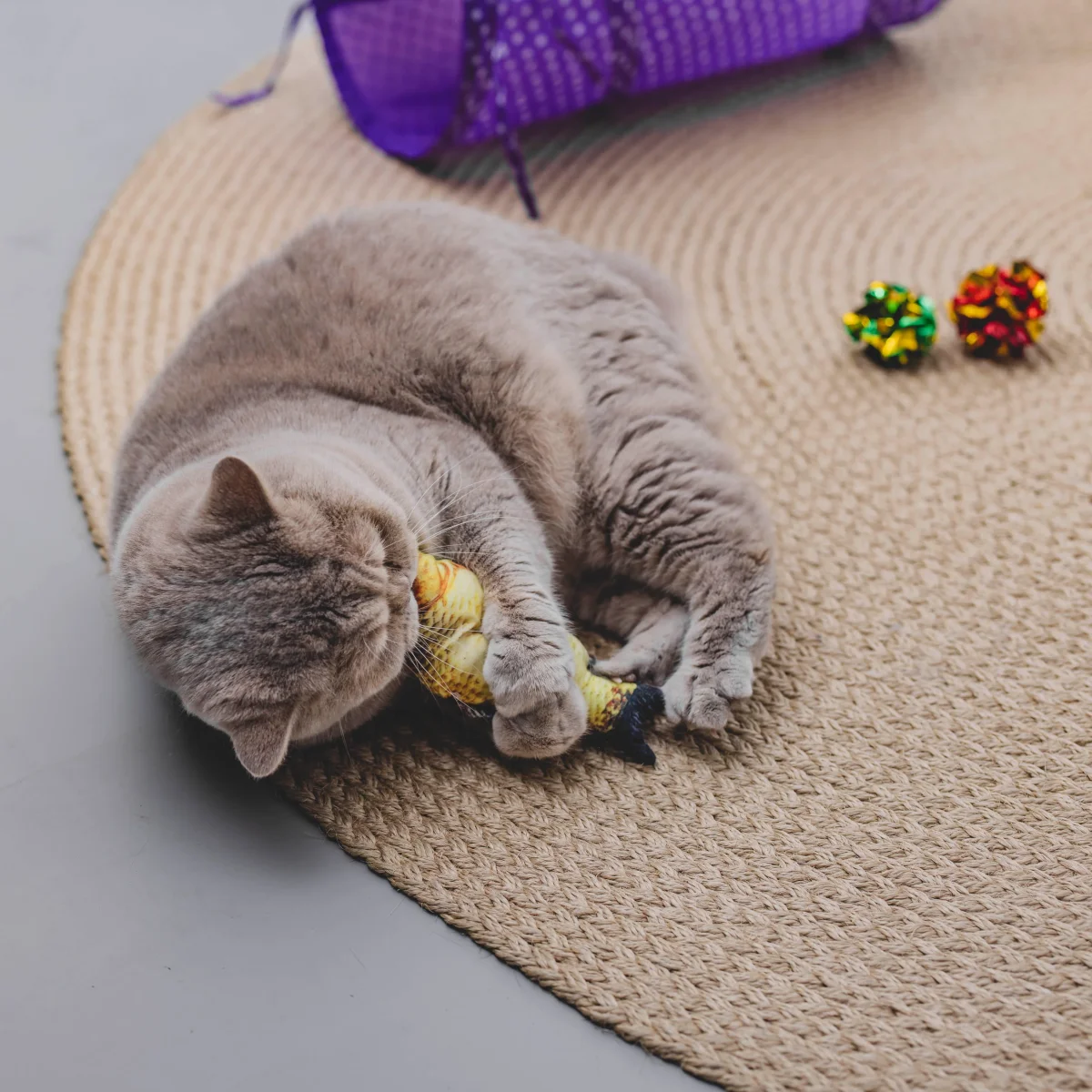 Kattenspeelgoed set - Afbeelding 6