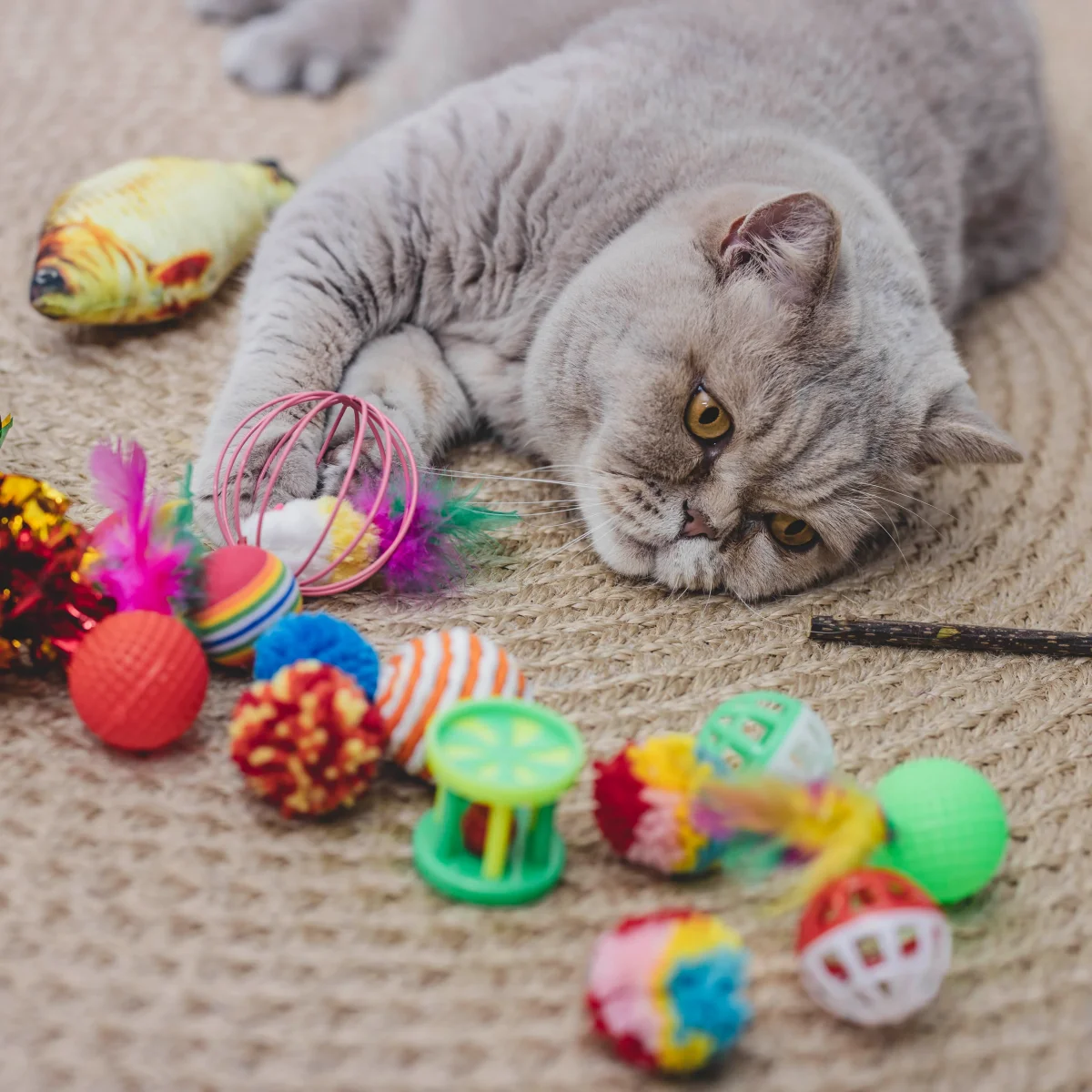 Kattenspeelgoed set - Afbeelding 3