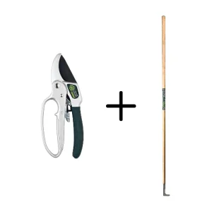Synx Tools Voegenmes RVS + Spear & Jackson Ratchet Snoeischaar - met Vingerlus - Kew Gardens - Onkruidmes - Voegenkrabber met steel 150cm